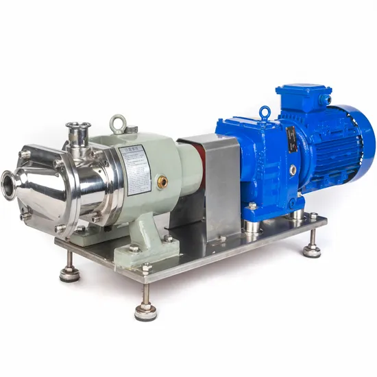 Stainless Steel Resistance to Water Vapor Clamps Single Screw Mono Pump