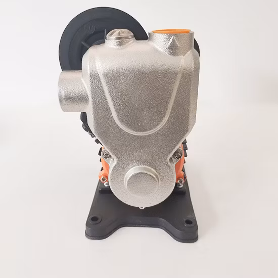 Waterpro Smart Electric Surface Selbstansaugende Zentrifugal-Wassererhöhungspumpe für die Gartenbewässerung