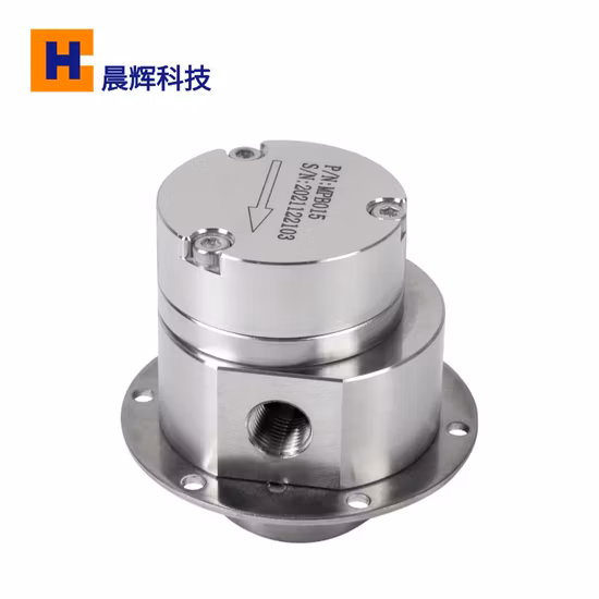 Baotn Mini-Zahnradpumpe für elektrische Ölübertragung, Niederdruck, 220 V, für 200 cm³/Min. durchgehende intermittierende elektrische Pumpe